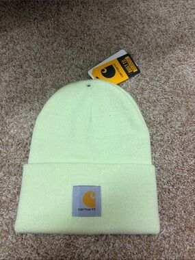 Carhartt Cuffed Beanie in Pale Green